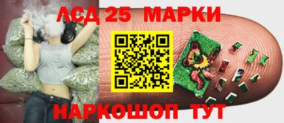 трава Сланцы