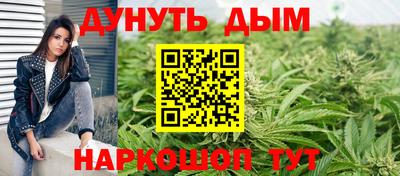 трава Сланцы