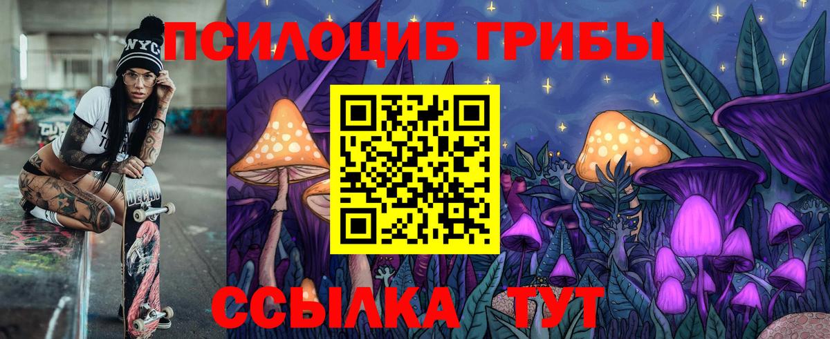 где купить наркотик  Галлюциногенные грибы Magic Shrooms  Вход с VPN  Осинники 