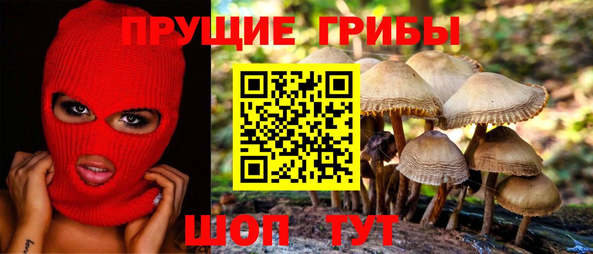 Галлюциногенные грибы прущие грибы Осинники