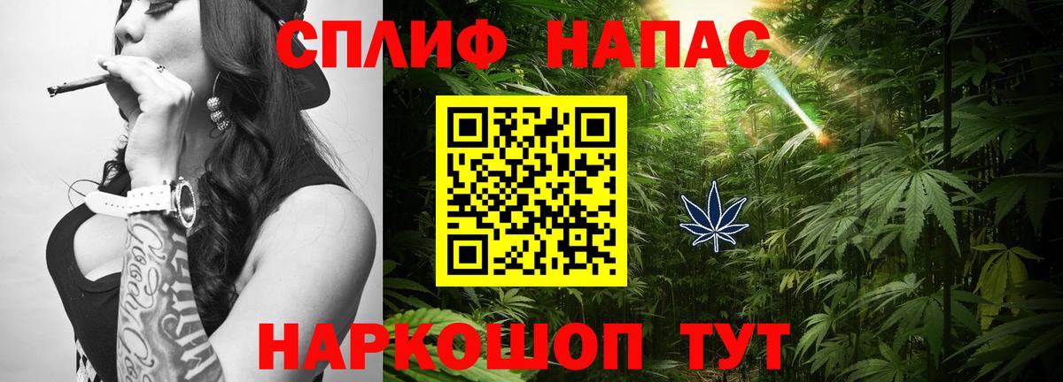 Бошки марихуана план  Каннабис план  Бошки Шишки White Widow  Вход с VPN  Осинники 